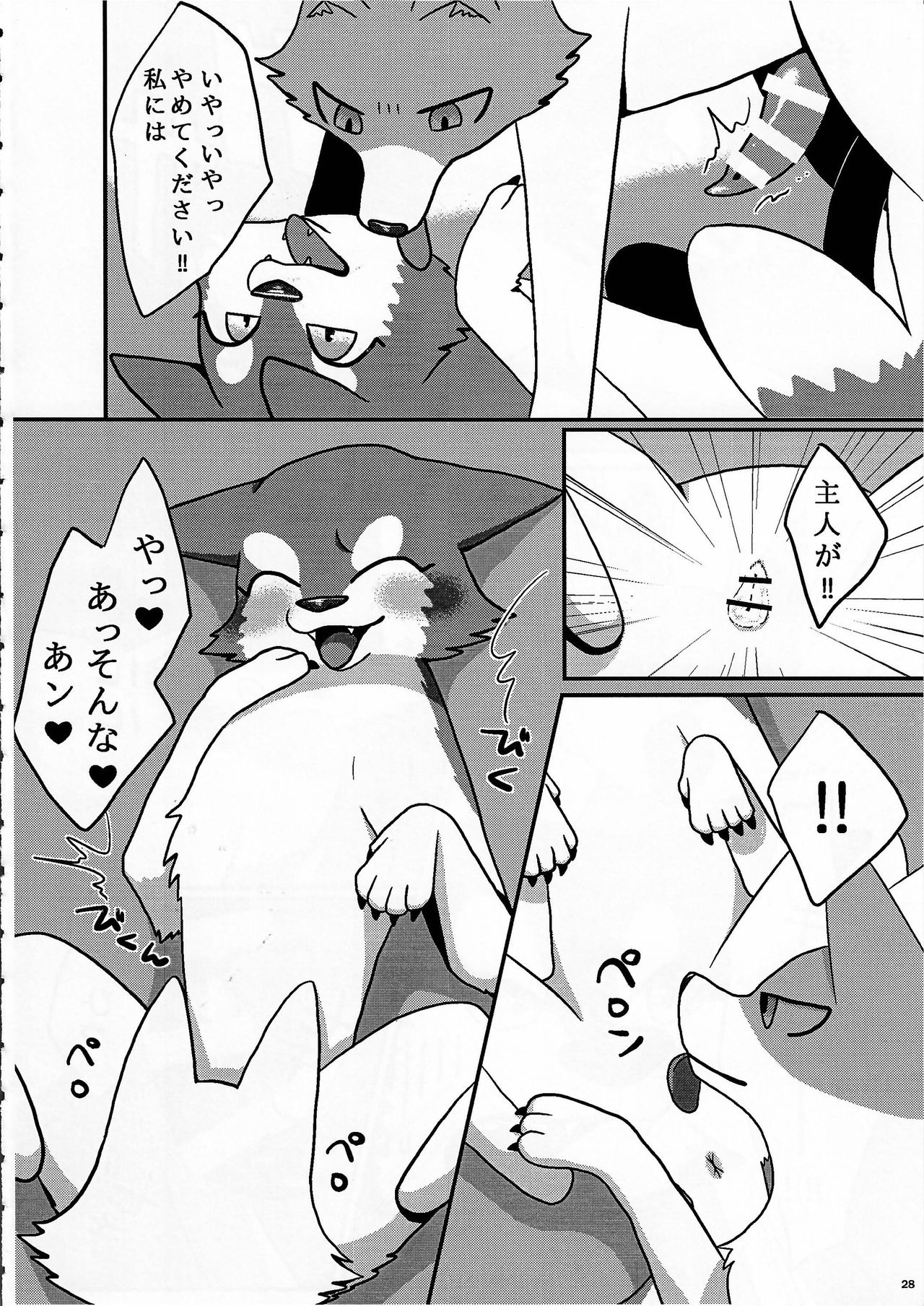 (Kansai! Kemoket 4) [KTQ48 (Various)] KTQ9_27.jpg